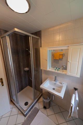 Impressionen Ferienwohnung Gosaukammblick